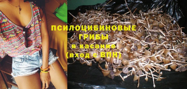 скорость Богородицк