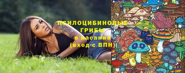 скорость Богородицк