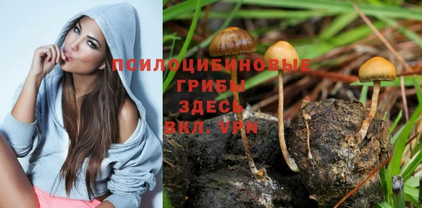 скорость Богородицк