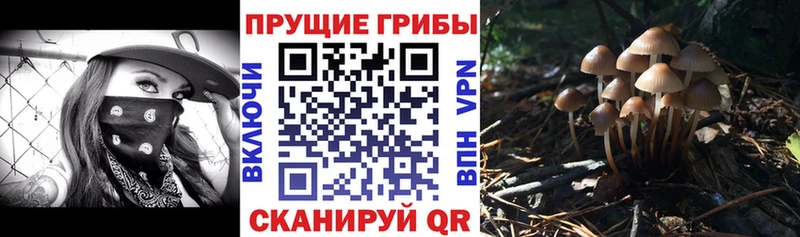 что такое наркотик  Люберцы  Псилоцибиновые грибы мухоморы 