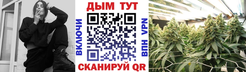 Бошки Шишки VHQ  блэк спрут онион  Люберцы  закладки 